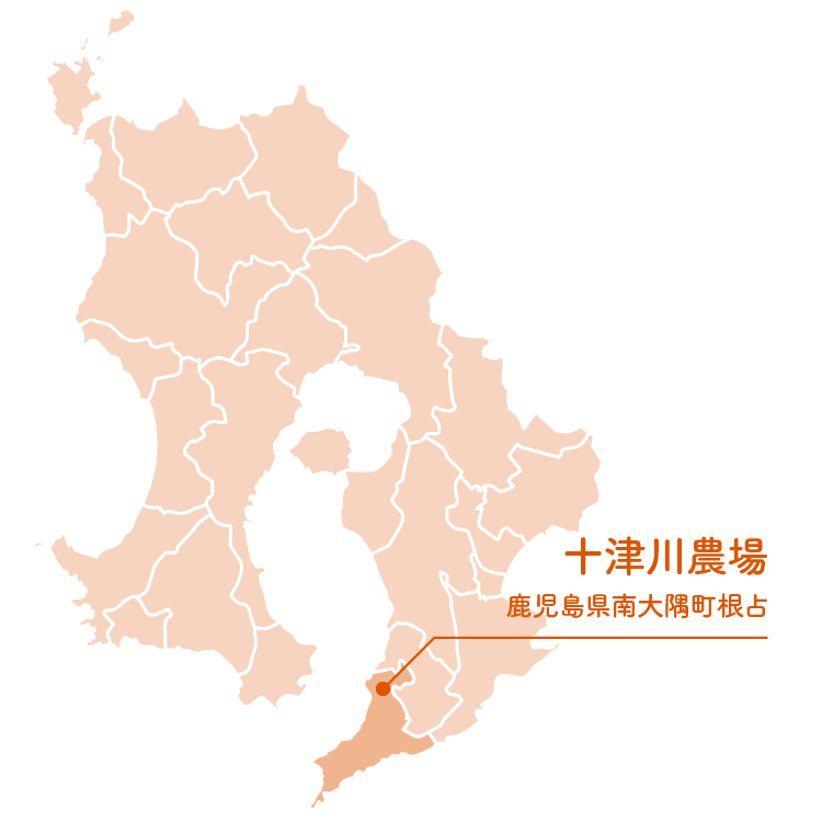 鹿児島県南大隅町根占の地図
