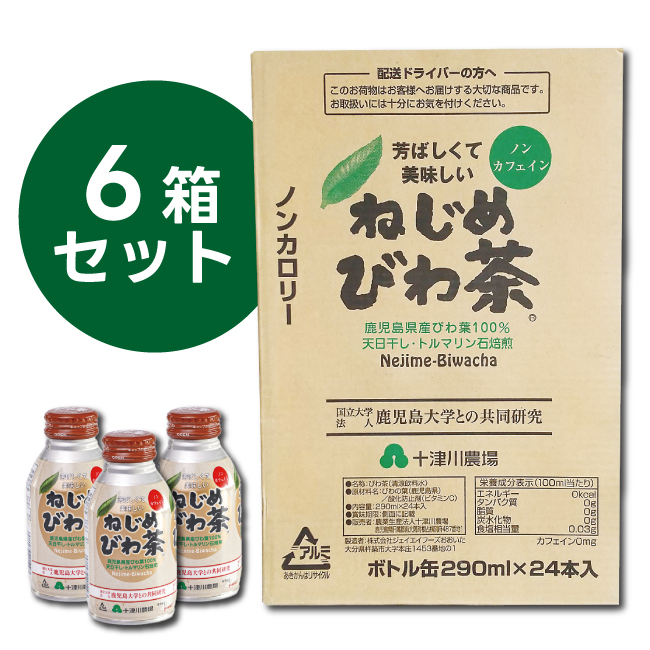 【6箱セット】ねじめびわ茶ボトル缶290ml　24本入り【現在庫終了まで】