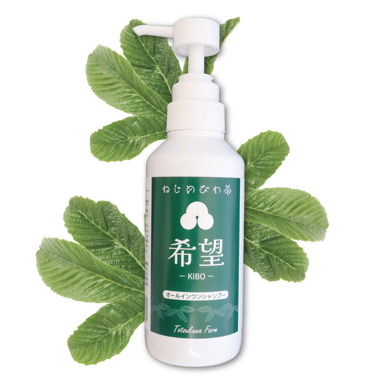 【まとま買いキャンペーン】ねじめびわ茶シャンプー3本セット