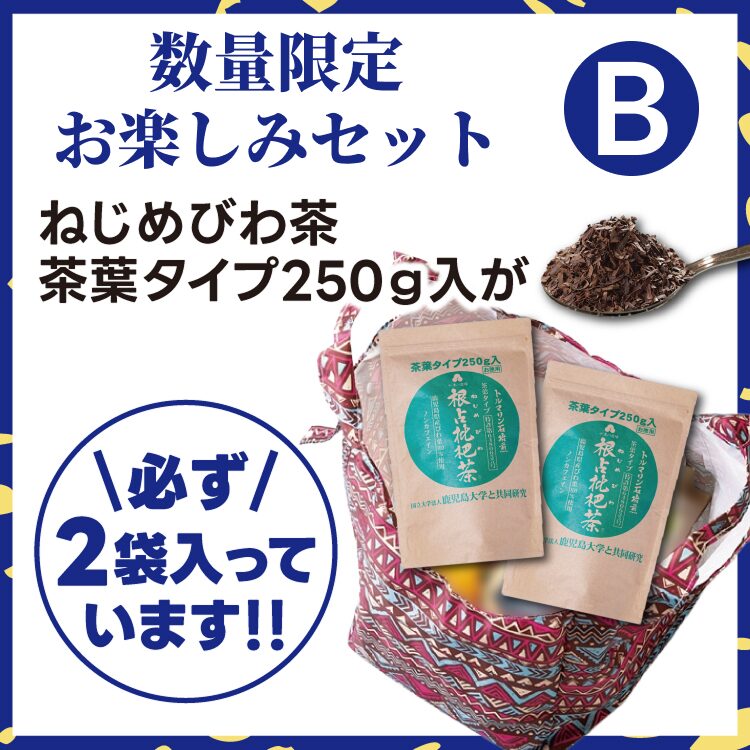 【数量限定】お楽しみセットB
