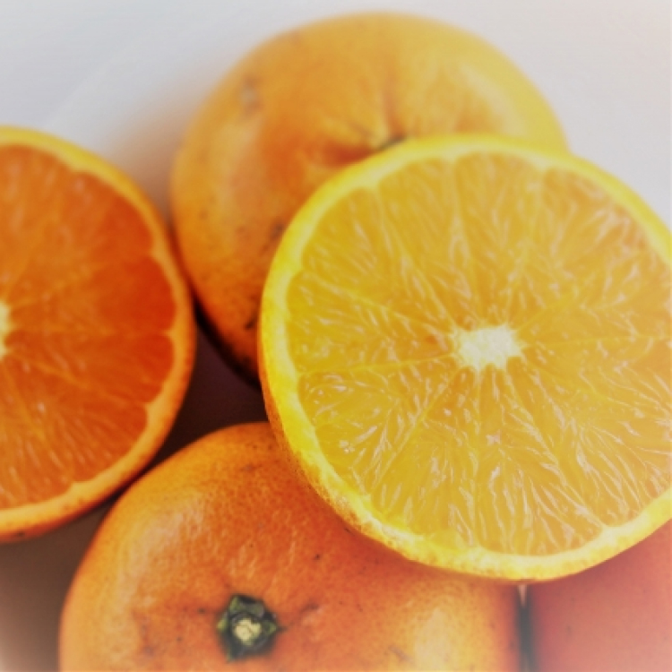 【予約受付】鹿児島県内之浦産たんかん【200箱限定】