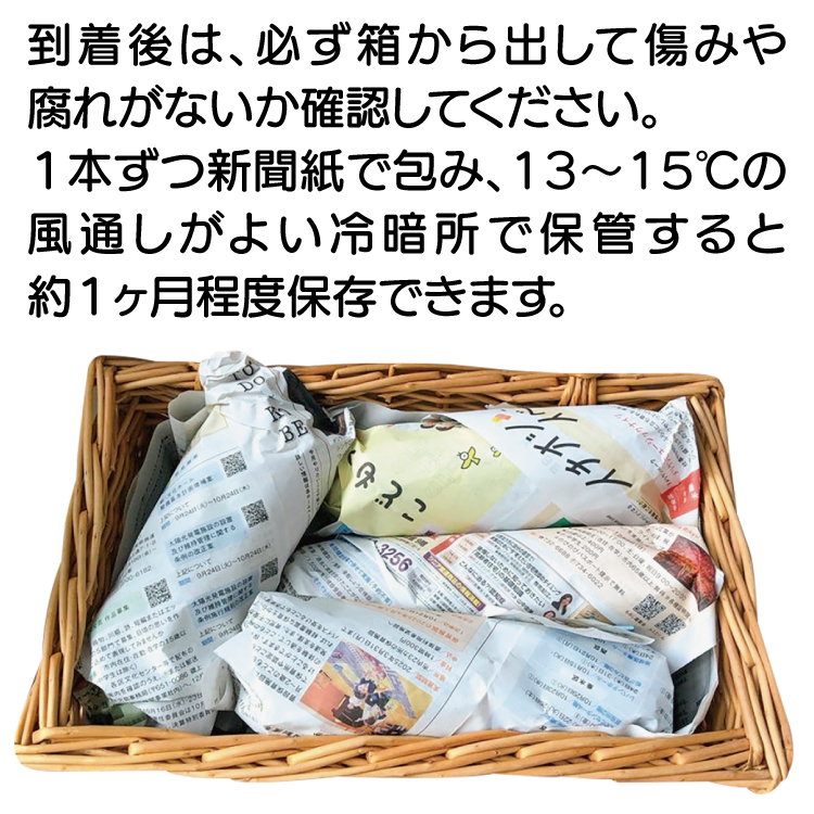 商品写真05